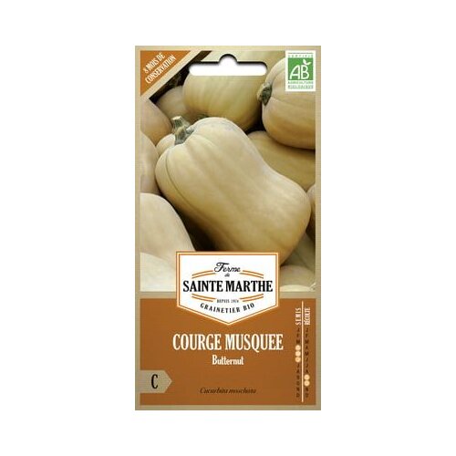  Muškatna buča “Musquée Butternut” Cene