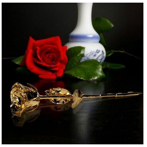 Zlatna ruža-black box 14927 Cene