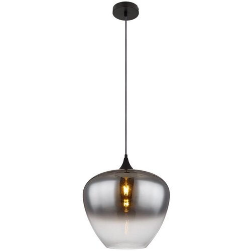 Globo 15548H2 - Luster na sajli MAXY 1xE27/60W/230V crna Cene