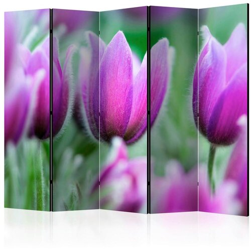 Artgeist Paravan Purple Spring Tulips I, 5-Delni, Dvostranski Cene