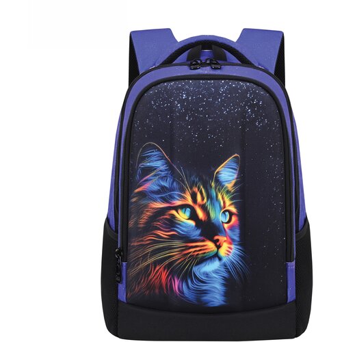 Scool ranac sa ojačanim leđima cat, SC2950, 40x29x14cm, ljubičasti Slike