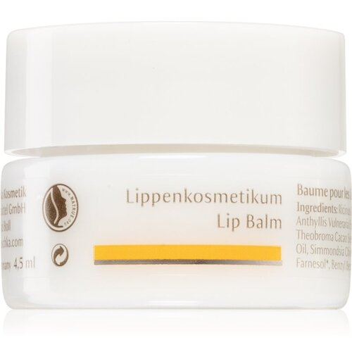 Dr. Hauschka Eye And Lip Care balzam za ustnice z hranilnim učinkom 4,5 ml Cene