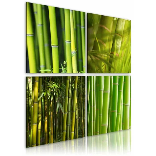  Slika - Bamboos 60x60