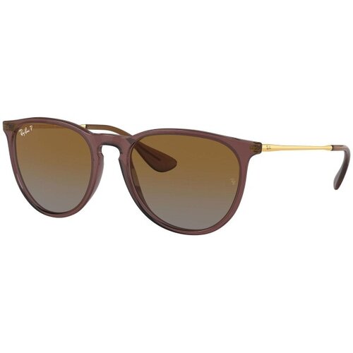 Ray-ban Erika RB4171 6593T5 Polarized - ONE SIZE (54) Cijene