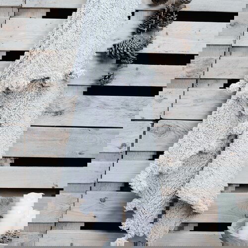 Today Posteljna pregrinjala Plaid cocoon 125/150 WINTER SPIRIT acier Siva Cene