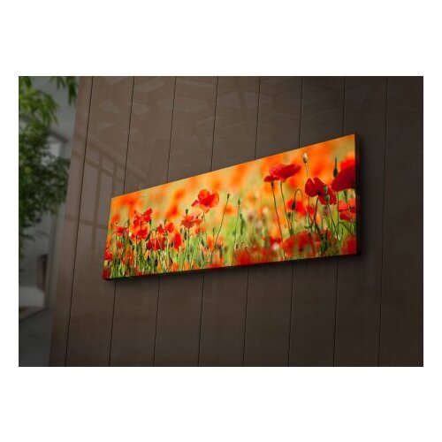 Shining Slika na platnu sa LED osvetljenjem 30x90cm Slike
