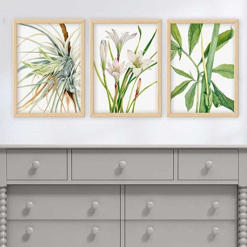 Wallity Set uramljenih slika 3NTC_12621251, 3 dijela Cijene