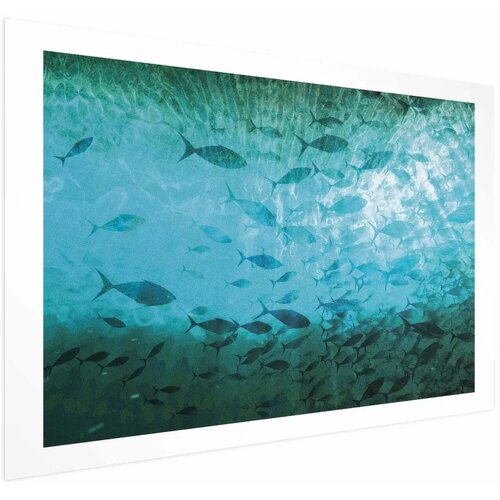  Plakat - Group of Dark Fish 42x29.7 Bez okvira s margom Cijene
