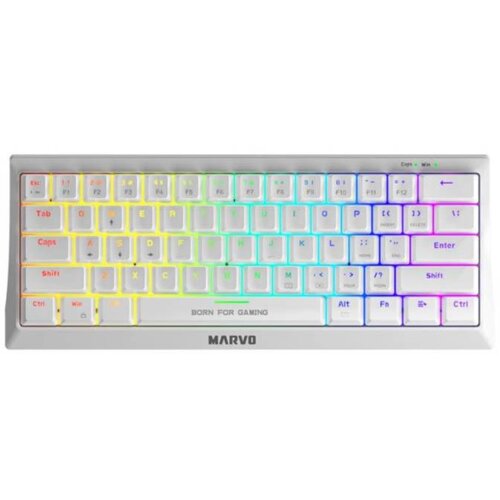 Marvo GEJMERSKA TASTATURA KG962 BELA HECATE 61R Cene