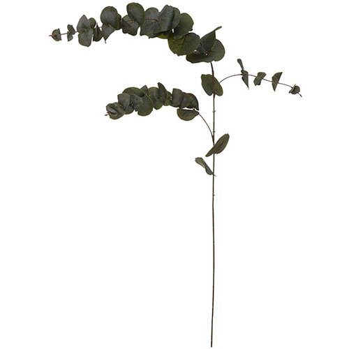 Atmosphera Grana eukaliptus 12x12x118cm poliester/PE/metal zelena (185478) Cene