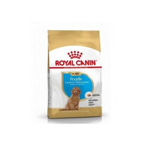 Royal Canin dog puppy poodle 0.5 kg Slike