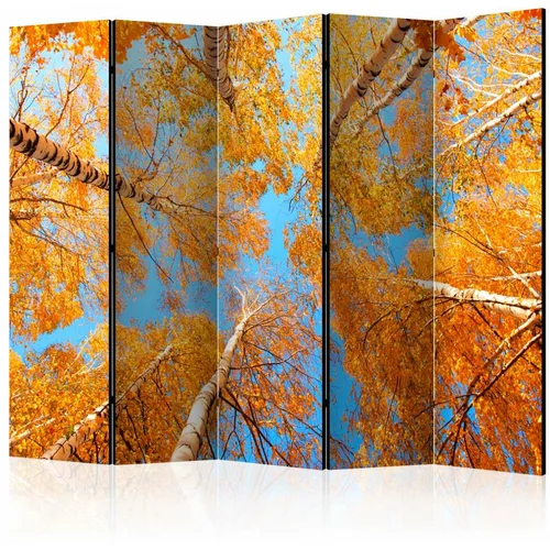  Paravan u 5 dijelova - Autumnal treetops II [Room Dividers] 225x172