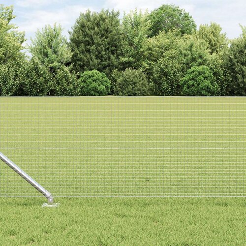 vidaXL varjena žičnata ograja z 13 spike posts 0.8x100 m pocinkano jeklo Cene