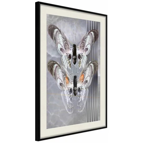  Poster - Two Moths 20x30