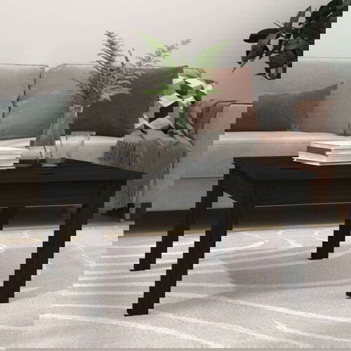  Klubska mizica črna 55x55x30 cm trdna borovina, (20778073) Cene