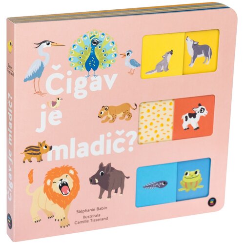 Epistola Založba Kartonka Čigav je mladič Slike