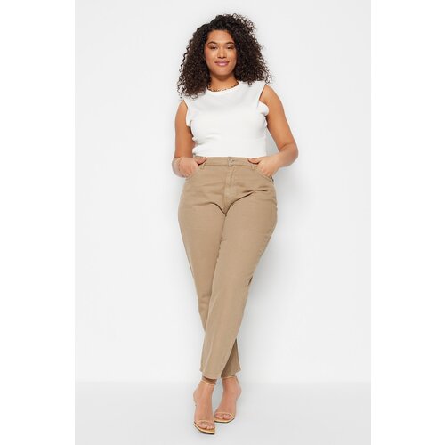 Trendyol Curve Plus Size Jeans - Brown - Mom Cene