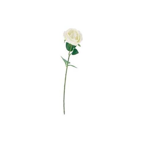 Ruža 51CM BIJELA PVC 80035 Cijene