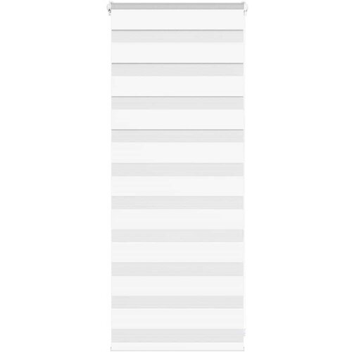 vidaXL Zavjesa zebra 60x100 cm širina tkanine 55,9 cm poliester Cijene