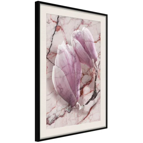  Poster - Magnolia on Marble Background 20x30