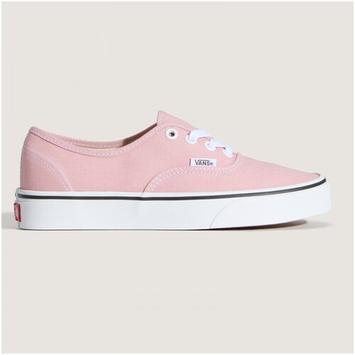 Vans Skate čevlji Authentic Vijolična Slike