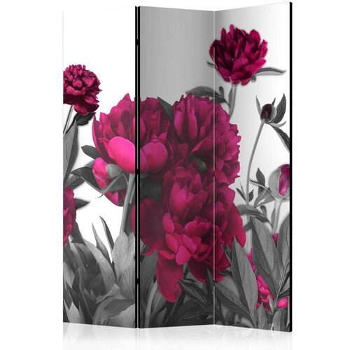  Paravan u 3 dijela - Lush meadow [Room Dividers] 135x172 Slike
