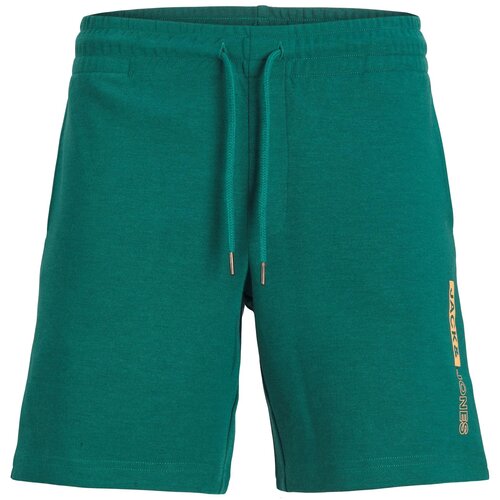 Jack &amp;amp; Jones Hlače &amp;#039;NEO&amp;#039; tamno zelena / breskva Slike