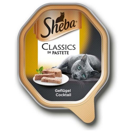 Sheba Mega pakiranje pladnji 22 x 85 g - Classics v pašteti perutninski koktejl Cene