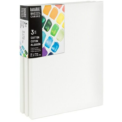 LIQUITEX Basics Slikarsko platno z okvirjem CNV (40 x 30 x 1,8 cm, Bombaž, 3-krat grundirano) Cene