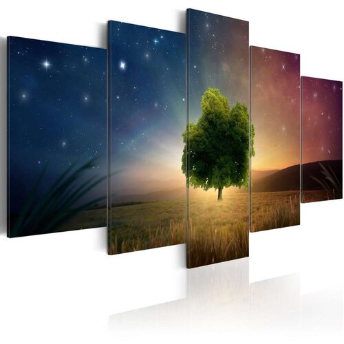  Slika - Starry Nights 200x100 Slike
