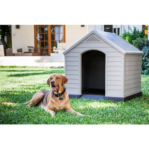 Curver Siv boks za pse 95x99 cm – Cene
