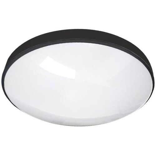  LED kupatilsko plafonsko svetlo CIRCLE LED/12W/230V 4000K prečnik 25 cm IP44 crna Cene