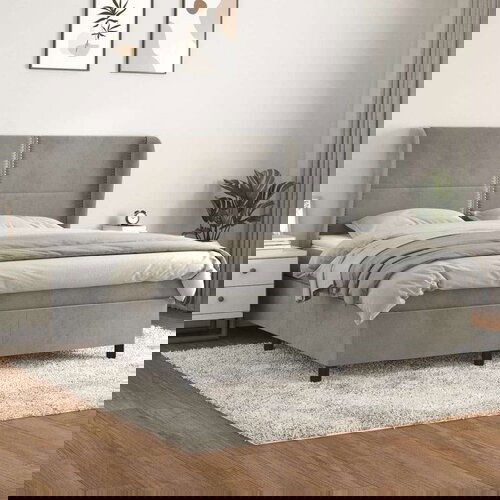  Box spring postelja z vzmetnico svetlo siva 160x200 cm žamet, (20900773) Cene
