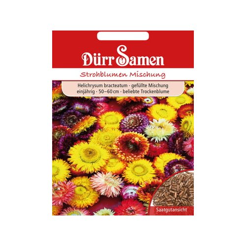 Dürr Samen slamnata roža Cene