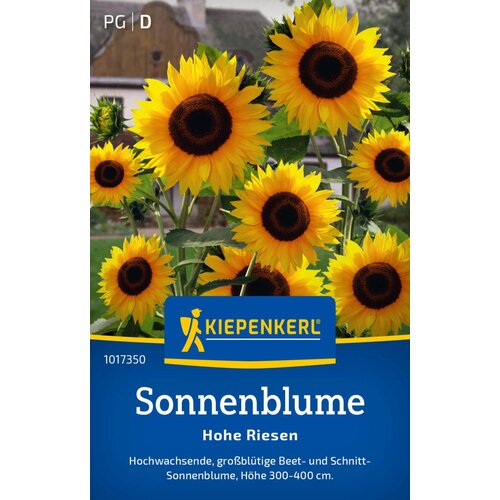 KIEPENKERL Sončnice visoki velikani - 1 pkt. Cene