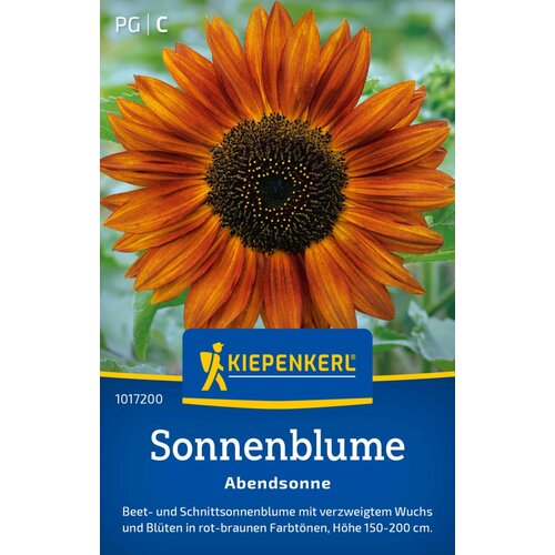 KIEPENKERL Sončnične "Večerno sonce" - 1 pkt. Cene