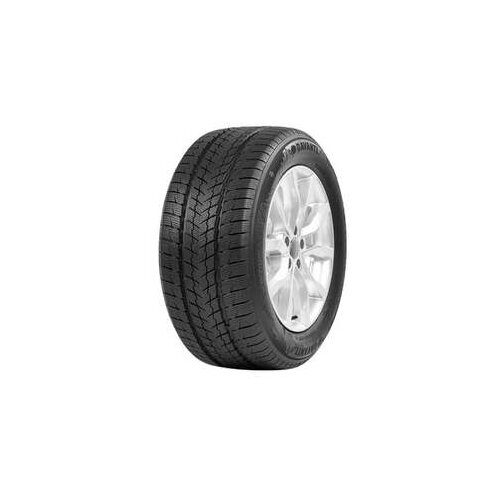 Davanti 255/50R19 107V wintoura suv zim DOT23 Slike