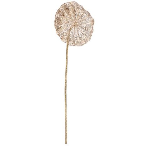 List LOTOSA HOWELL 55CM ZLATNI Cijene