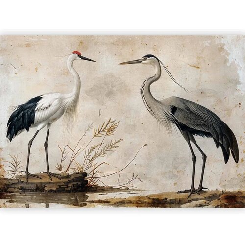  Foto tapeta - Birds from an old engraving - vintage-style illustration depicting a heron and a crane 441x315 Samoljepljiva Slike