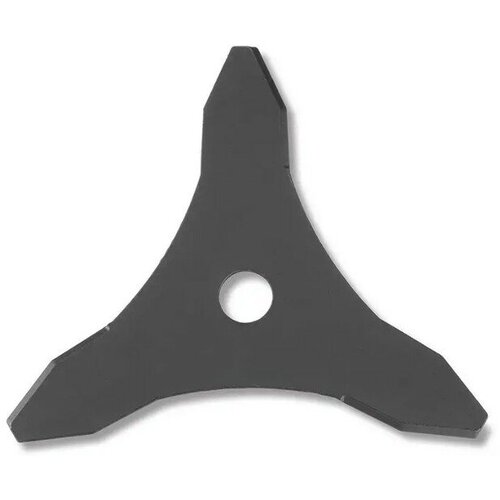 Ausonia trizobi disk 83806 Slike