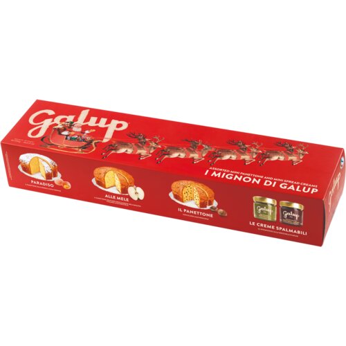Galup Komplet mini panettonejev - 460 g Slike