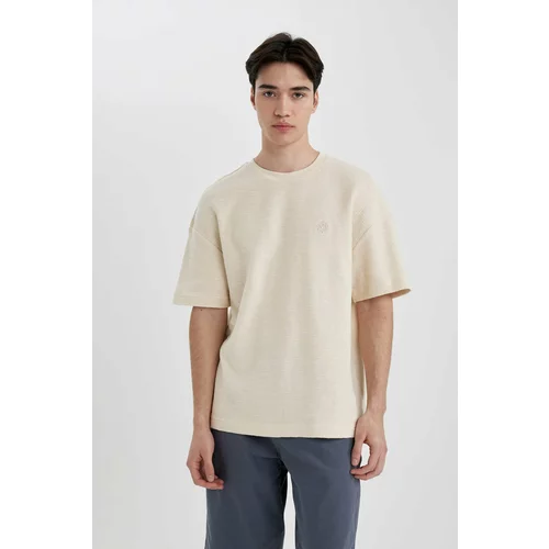 Defacto Comfort Fit Crew Neck Printed Knitwear T-Shirt