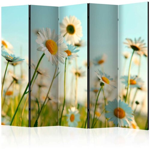  Paravan u 5 dijelova - Daisies - spring meadow II [Room Dividers] 225x172 Slike