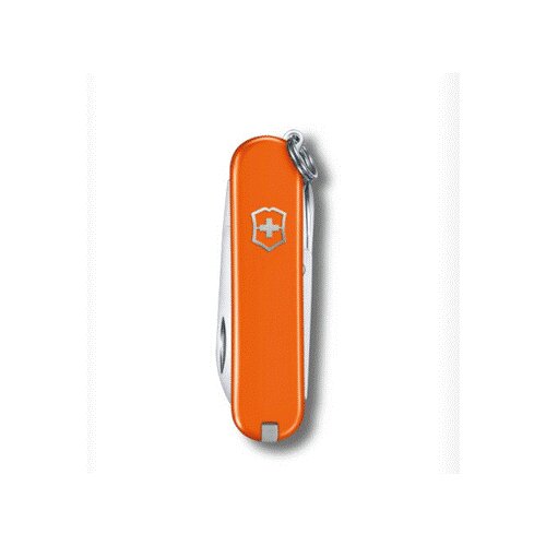 Victorinox nož privezak mango oa 0622383G Cene