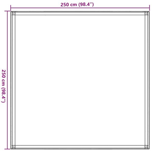  Tepih za &amp;scaron;ator bež 250 x 250 cm HDPE Slike