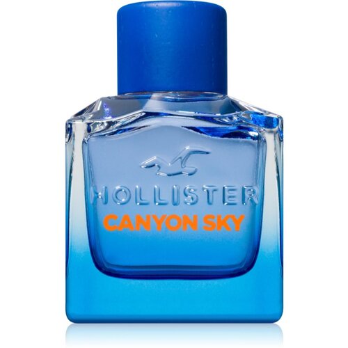 Hollister Canyon Sky For Him toaletna voda za moške 100 ml Cene