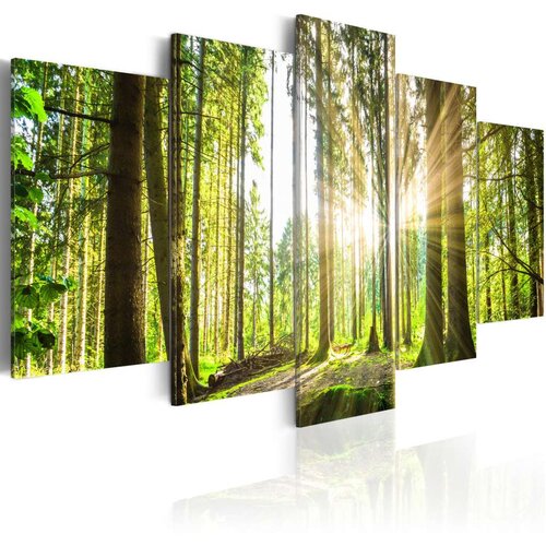  Slika - Forest Kingdom 100x50 Slike