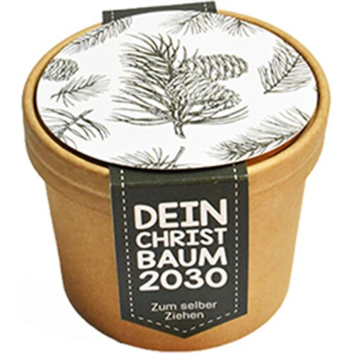 Mini set za sajenje &amp;quot;Va&amp;scaron;e božično drevo 2030&amp;quot; - 1 k. Slike
