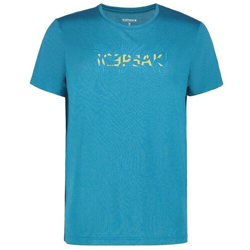 Icepeak Bearden sarena Slike