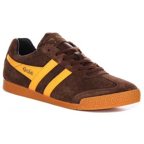 Gola Nizke superge SNEAKERS HARRIER Kostanjeva Cene